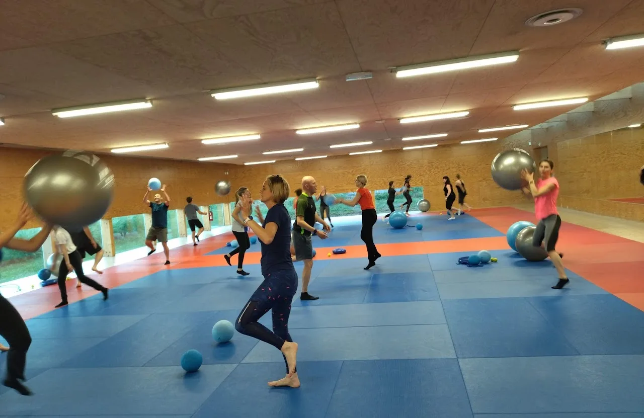 Pratique de Taïso au Judo Club Templemars Vendeville